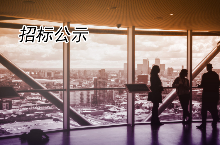 揚(yáng)州全域旅游有限公司冷飲類采購(gòu)項(xiàng)目(A包)成交公告